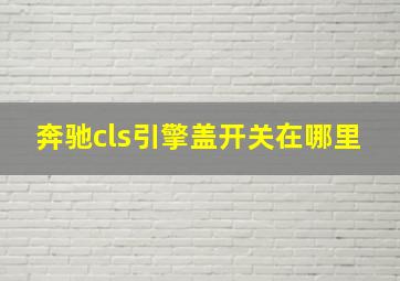 奔驰cls引擎盖开关在哪里