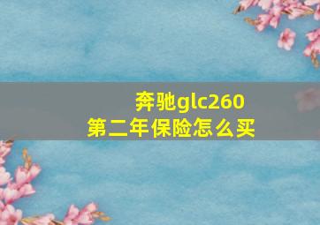 奔驰glc260第二年保险怎么买