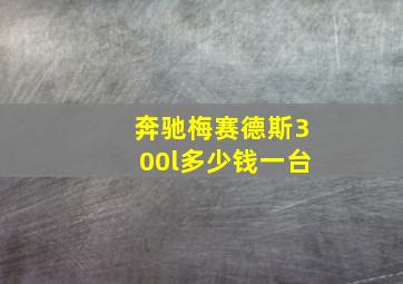 奔驰梅赛德斯300l多少钱一台