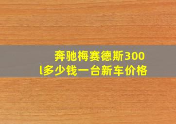 奔驰梅赛德斯300l多少钱一台新车价格