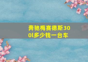 奔驰梅赛德斯300l多少钱一台车