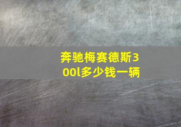 奔驰梅赛德斯300l多少钱一辆