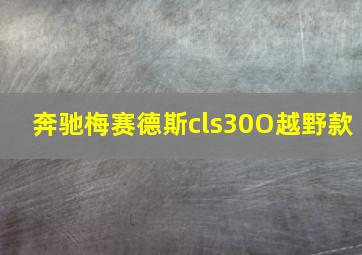 奔驰梅赛德斯cls30O越野款