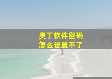 奥丁软件密码怎么设置不了