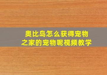 奥比岛怎么获得宠物之家的宠物呢视频教学