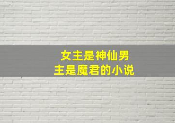 女主是神仙男主是魔君的小说