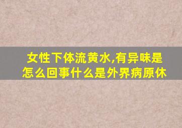 女性下体流黄水,有异味是怎么回事什么是外界病原休