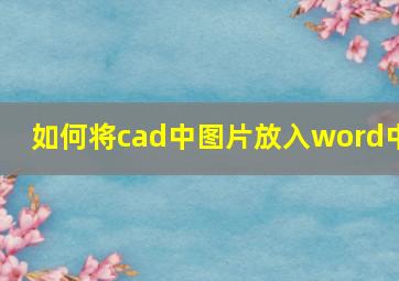 如何将cad中图片放入word中