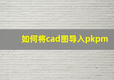 如何将cad图导入pkpm