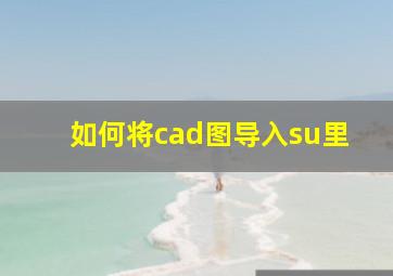 如何将cad图导入su里