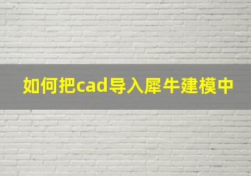 如何把cad导入犀牛建模中