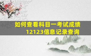 如何查看科目一考试成绩12123信息记录查询