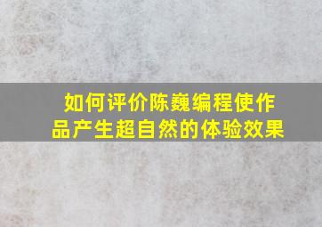 如何评价陈巍编程使作品产生超自然的体验效果