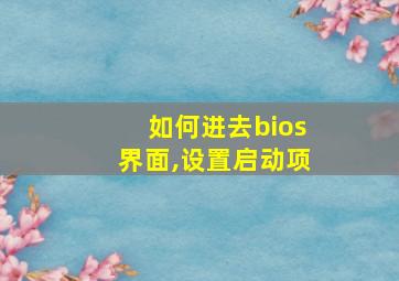 如何进去bios界面,设置启动项