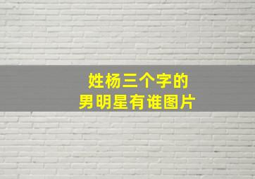 姓杨三个字的男明星有谁图片