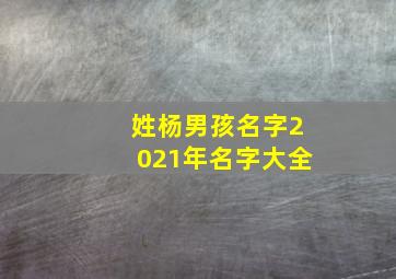 姓杨男孩名字2021年名字大全