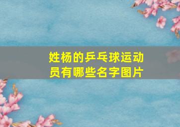 姓杨的乒乓球运动员有哪些名字图片