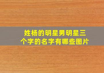 姓杨的明星男明星三个字的名字有哪些图片