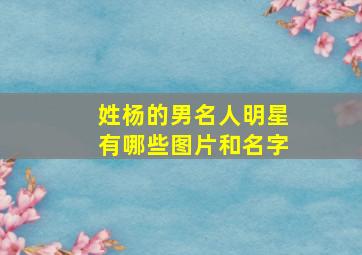 姓杨的男名人明星有哪些图片和名字