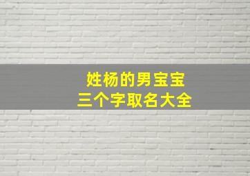 姓杨的男宝宝三个字取名大全