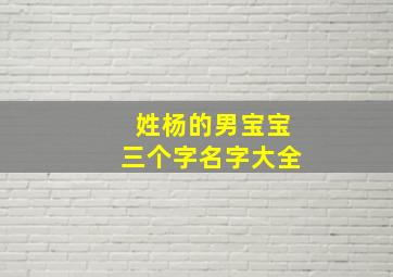 姓杨的男宝宝三个字名字大全