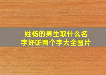 姓杨的男生取什么名字好听两个字大全图片