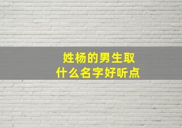 姓杨的男生取什么名字好听点