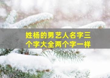 姓杨的男艺人名字三个字大全两个字一样