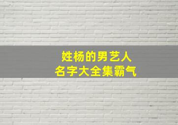 姓杨的男艺人名字大全集霸气