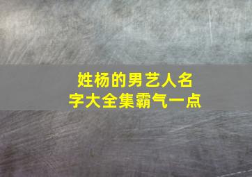 姓杨的男艺人名字大全集霸气一点