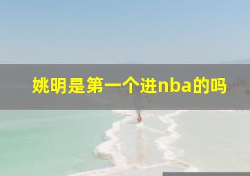 姚明是第一个进nba的吗