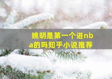 姚明是第一个进nba的吗知乎小说推荐