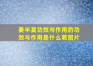 姜半夏功效与作用的功效与作用是什么呢图片