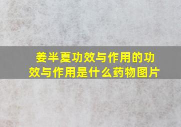 姜半夏功效与作用的功效与作用是什么药物图片