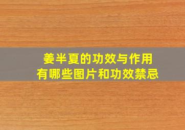 姜半夏的功效与作用有哪些图片和功效禁忌