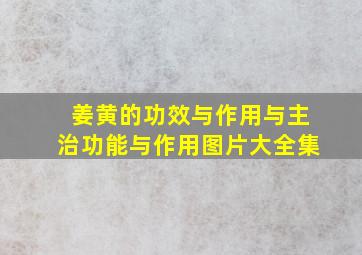 姜黄的功效与作用与主治功能与作用图片大全集