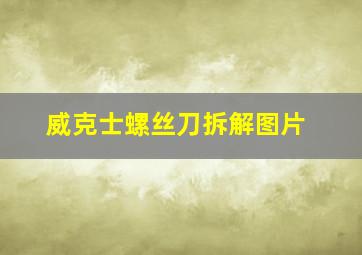 威克士螺丝刀拆解图片