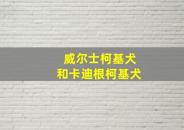 威尔士柯基犬和卡迪根柯基犬