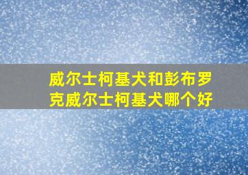 威尔士柯基犬和彭布罗克威尔士柯基犬哪个好