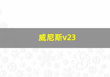 威尼斯v23