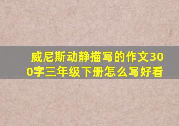 威尼斯动静描写的作文300字三年级下册怎么写好看