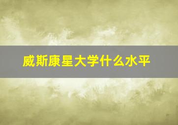 威斯康星大学什么水平