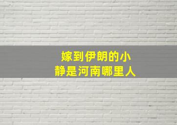 嫁到伊朗的小静是河南哪里人