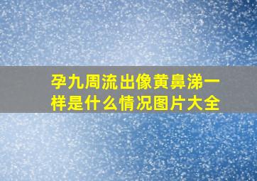 孕九周流出像黄鼻涕一样是什么情况图片大全