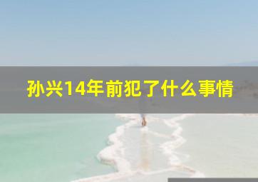 孙兴14年前犯了什么事情