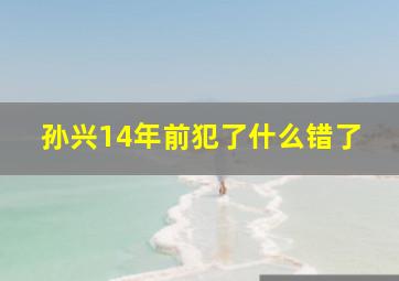 孙兴14年前犯了什么错了