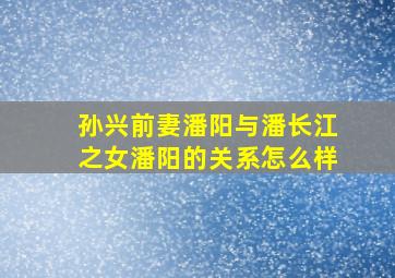 孙兴前妻潘阳与潘长江之女潘阳的关系怎么样