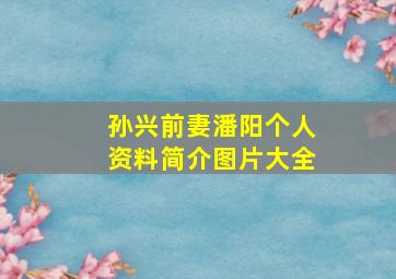 孙兴前妻潘阳个人资料简介图片大全