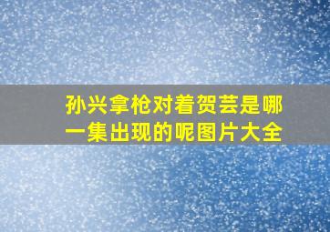 孙兴拿枪对着贺芸是哪一集出现的呢图片大全