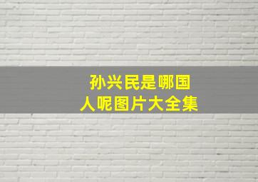 孙兴民是哪国人呢图片大全集